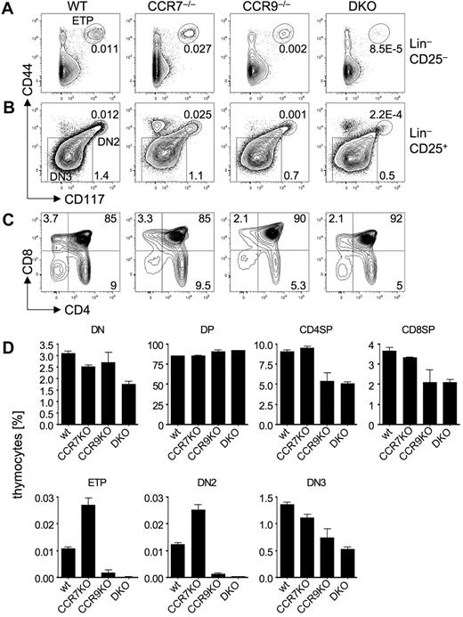 Figure 1. Reduced frequencies of ETP in the steady thymus of CCR7−/−CCR9−/− mice. Thymocytes from wild-type (wt), CCR7−/−, CCR9−/−, and CCR7−/−CCR9−/− (DKO) mice were stained with antibodies against lineage markers, CD4, CD8, CD25, CD44, and CD117 and analyzed by flow cytometry. (A) Analysis of early T-lineage progenitor (ETP; Lin−CD25−CD44+CD117hi). (B) Analysis of DN2 (Lin−CD25+CD44+CD117+) and DN3 (Lin−CD25+CD44−CD117−/lo) compartments. (C) Analysis of double-negative (DN), double-positive (DP), and single-positive (SP) populations. Numbers in quadrants and adjacent to gates represent frequencies of viable thymocytes. (D) Statistical analysis of flow cytometric results from multiple individual mice (wt: n = 36, CCR7−/−: n = 8, CCR9−/−: n = 3, DKO: n = 12). Data represent mean ± SEM.