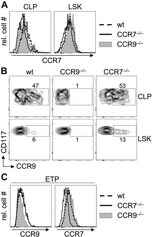 Figure 5. Expression of CCR7 and CCR9 on BM-derived precursors and ETP of wt and single-mutant mice. (A-B) BM cells were stained with antibodies against lineage markers, Sca-1, CD127, CD117, TCRβ, and CCL19-hIg to reveal expression of CCR7 (A) or antibodies against CCR9 (B). LSK and CLPs were defined as lin−CD117hiSca-1+ and lin−CD127+CD117+Sca-1+, respectively. Data are representative for 5 mice of each genotype from 2 independent experiments. Numbers indicate frequencies of cells within gates. (C) DN thymocytes from wt, CCR7−/−, and CCR9−/− mice were stained with antibodies against lineage markers, CD25, CD44, CD117, and CCR9 (left panel) or CCR7 (right panel). Histograms are representative for analysis of 3 individual mice.
