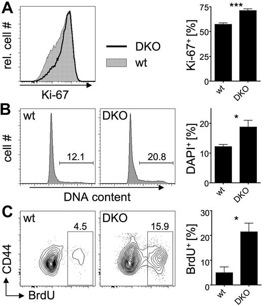 Figure 6. Increased proliferation of DN3 thymocytes in DKO mice. (A-B) DN thymocytes from wt and CCR7−/−CCR9−/− (DKO) mice were stained with antibodies against lineage markers, CD25, CD44, CD117, as well as Ki-67 (A) or DAPI (B). Histograms are electronically gated on DN3 cells (lin−CD44−CD117−CD25+). Numbers in histograms indicate frequencies of cells within gates. Graphs indicate percentage of Ki-67+ DN3 cells (A) or percentage of cells with DNA content more than 2N (B). Data are from 7 mice per group and represent mean ± SEM. (C) wt and DKO mice were subjected to a 4-hour BrdU pulse. DN thymocytes were stained with antibodies against lineage markers, CD25, CD44, CD117, and BrdU. Plots are electronically gated on DN3 cells. Numbers indicate frequencies of cells within gates. The graph indicates percentage of BrdU+ DN3 cells. Data are from 3 mice per group and represent mean ± SEM. *P < .05. ***P < .001.