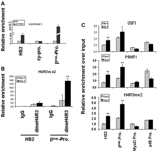 Figure 2. PRMT1 and dimethyl H4R3 are targeted to the β-globin locus by transcription factor USF1. (A) Cross-linked chromatin prepared from MEL cells was immunoprecipitated with α-USF1 antibody, and USF1-DNA complexes from the first ChIP were subjected to a second ChIP using α-PRMT1 antibody. The protein/DNA complexes were reversed and the purified DNA fragments were amplified using primers specific for the HS2 core, ϵy-globin promoter and βmajor-globin promoter. (B) MEL cells were cultured in the presence or absence of 1.5% DMSO. The cross-linked chromatin was analyzed by ChIP assay using antibodies specific to dimethyl H4R3. The protein/DNA complexes were then reversed and the purified DNA fragments were amplified using primers specific for HS2 and βmaj-globin promoter. (C) ES cells were cultured in the presence or absence of 2 U/mL EPO. The cross-linked chromatin was analyzed by ChIP assay using antibodies specific for USF1 (top), PRMT1 (middle), and dimethyl H4R3 (bottom). The MyoD promoter and the p45 promoter were also analyzed as inactive and active promoter controls, respectively. Significant difference by Student t test: *P < .05, **P < .01. Shown are the mean ± SDM of 3 independent experiments.