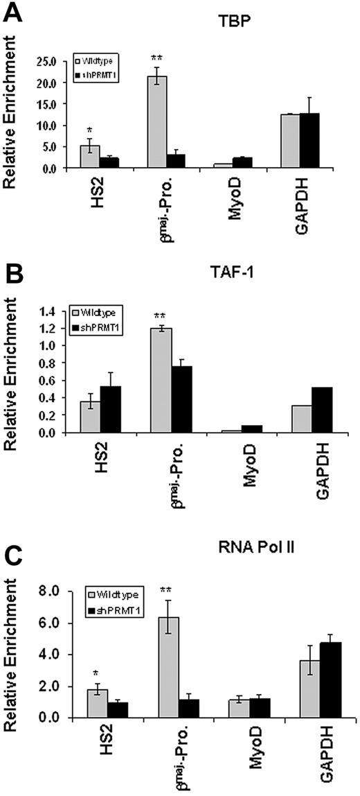 Figure 7. Knockdown of PRMT1 inhibits the recruitment of the transcription preinitiation complex to the β-globin locus. (A) ChIP assays of TBP at the HS2 enhancer and βmaj-globin promoter in MEL cell lines transduced with the vector control or shPRMT1 in the presence of 1.5% DMSO for 3 days. The precipitated DNA was analyzed by real-time qPCR. The MyoD promoter and the GAPDH promoter were also analyzed as inactive and active promoter controls, respectively. (B) ChIP assays of TAF1 at the HS2 enhancer and βmaj-globin promoter in MEL cell lines transduced with the vector control or shPRMT1 in the presence of 1.5% DMSO for 3 days. (C) ChIP assays of RNA Pol II at the HS2 enhancer and βmaj-promoter comparing the vector control and shPRMT1-transduced MEL cell lines in the presence of 1.5% DMSO for 3 days. Significant difference by Student t test: *P < .05, **P < .01. Shown are the mean ± SDM of 3 independent experiments.