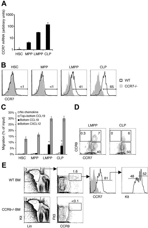 Figure 1. Functional CCR7 is selectively expressed by bone marrow progenitors. (A) The indicated populations were sorted from WT mice and cDNA was prepared. Real-time PCR was then used to quantify the relative levels of CCR7 transcripts. Shown is the mean ± SEM for 3 independent experiments. (B) Bone marrow (BM) from wild-type (WT) and CCR7−/− mice were analyzed by flow cytometry for CCR7 expression on the indicated populations. Numbers represent the percentage of WT cells in the indicated gate. (C) For chemotaxis assays, WT BM cells were added to transwells with the indicated chemokines in the bottom and/or top wells. After a 2-hour incubation, the migrated cells were collected and quantified by flow cytometry. Shown is the mean ± SEM for data pooled from 3 experiments. *P < .05 for the indicated condition compared with the no-chemokine control condition. (D) BM from WT mice was analyzed for the coexpression of CCR7 and CCR9. Shown are cells previously gated as LMPPs (left panel) and CLPs (right panel). The gates showing CCR7−CCR9+, CCR7+CCR9+, and CCR7+CCR9− subpopulations were placed according to CCR7−/− and CCR9−/− controls (data not shown). (E) WT and CCR9−/− BM were analyzed by flow cytometry for CCR7 and CCR9 coexpression. The gray histogram in the third column represents the CCR7−/− control.