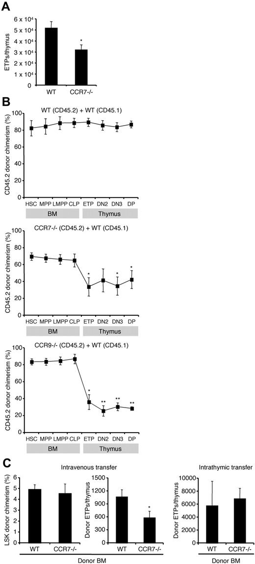 Figure 2. CCR7 mediates thymic settling by T-lineage progenitors. (A) Thymi from WT and CCR7−/− mice were analyzed by flow cytometry to calculate absolute numbers of ETPs. Absolute numbers were obtained by multiplying the frequency of ETPs among live singlets by total thymic cellularity. Shown is the mean ± SEM for 21 WT (8 males, 13 females) and 18 CCR7−/− (7 males, 11 females) mice all between the ages of 4 and 9 weeks. These data were pooled from 4 separate experiments, but for each experiment the mice were age and sex matched. *P < .05 compared with the WT control. (B) Mixed BM chimeras were generated using CD45.2 WT BM and CD45.1 WT BM mixtures as controls (top panel), CD45.2 CCR7−/− BM and CD45.1 WT BM mixtures (middle panel), or CD45.2 CCR9−/− BM and CD45.1 WT BM mixtures (bottom panel). Chimeras were analyzed by flow cytometry after 10 weeks using antibodies to CD45.1 and CD45.2 to determine donor chimerism. Shown is the mean CD45.2 donor chimerism ± SEM for each indicated population. *P < .05 and **P < .01 for the CD45.2 donor chimerism of the indicated population compared with HSC CD45.2 donor chimerism. (C) For adoptive transfer experiments, BM from either WT or CCR7−/− mice (both CD45.2) was administered intravenously (left 2 panels) or intrathymically (right panel) to unirradiated WT recipient mice (CD45.1). After 2 weeks (intrathymic transfer) or 3 weeks (intravenous transfer), donor-derived cells were quantified by flow cytometry. Results show the mean ± SEM for 5 recipients in each group. *P < .05 compared with the WT control.
