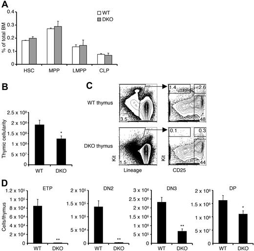 Figure 3. CCR7/CCR9 DKO mice have a severe ETP defect. (A) BM from WT and CCR7/CCR9 DKO mice were analyzed by flow cytometry to determine frequencies of the indicated progenitors. Shown is the mean ± SEM for 9 WT and 10 CCR7/CCR9 DKO mice. (B) Thymic cellularities from WT and CCR7/CCR9 DKO mice were calculated. Shown is the mean ± SEM. *P < .05 compared with the WT control. (C) WT and CCR7/CCR9 DKO thymi were analyzed by flow cytometry for thymic progenitors. Representative FACS profiles are shown. (D) Absolute numbers of thymic progenitor populations were calculated. Shown is the mean ± SEM. *P < .05 and **P < .01 compared with the corresponding WT controls.