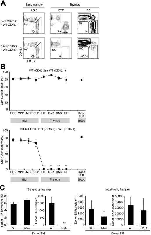 Figure 4. CCR7/CCR9 DKO progenitors have an absolute defect in thymic settling in the competitive scenario. (A) Mixed BM chimeras were generated using CD45.2 WT BM and CD45.1 WT BM mixtures (top row) or CD45.2 CCR7/CCR9 DKO BM and CD45.1 WT BM mixtures (bottom row). Chimeric mice were analyzed by flow cytometry 10 weeks after BM transfer for donor chimerism of the indicated populations using antibodies to CD45.1 and CD45.2. Representative FACS plots of BM LSKs (left column), thymic ETPs (middle column), and thymic DPs (right column) are shown. (B) Shown is the mean CD45.2 donor chimerism ± SEM for each indicated population from control WT chimeras (top panel) and CCR7/CCR9 DKO chimeras (bottom panel) described in panel A. **P < .01 for the CD45.2 donor chimerism of the indicated population compared with HSC CD45.2 donor chimerism. (C) For adoptive transfer experiments, BM from either WT or CCR7/CCR9 DKO (both CD45.2) was administered intravenously (left 2 panels) or intrathymically (right 2 panels) into unirradiated WT recipient mice (CD45.1). After 2 weeks (intrathymic transfer) or 3 weeks (intravenous transfer), donor-derived thymocytes were quantified by flow cytometry. Results show the mean ± SEM for 5 recipients in each group. **P < .01 compared with the WT control.
