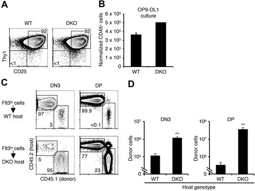 Figure 5. Compensatory proliferation accounts for near-normal CCR7/CCR9 DKO thymic cellularity. (A) Sorted ETPs from WT or CCR7/CCR9 DKO mice were cultured on OP9-DL1 stromal layers. WT cells were cultured in triplicate wells, whereas CCR7/CCR9 DKO cells were cultured in a single well. After 2 weeks, cultured cells were analyzed by flow cytometry for expression of CD25 and Thy1. Representative FACS plots of cells previously gated to be CD45+ are shown. (B) Graphs show the relative numbers of cells obtained from cultures described in panel A. Shown is the mean ± SEM for WT and CCR7/CCR9 DKO cultures. (C) Lin−Flt3hi cells (3 × 103) sorted from WT BM (CD45.1) were intrathymically injected into WT or CCR7/CCR9 DKO recipients (both CD45.2). After 15 days, recipient thymi were analyzed for donor-derived DN3 cells (left column) or DP cells (right column). Shown are representative donor/host FACS plots. (D) Graphs show the total numbers of donor DN3 cells (left panel) and donor DP cells (right panel) found in recipient thymi for the experiment described in panel C. Shown is the mean ± SEM for 5 WT recipients and 3 CCR7/CCR9 DKO recipients. **P < .01 compared with WT controls.