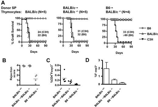Figure 6. Central tolerance in IL-2Rβ−/− mice that were adoptively transferred with allogeneic Treg cells. Eight-week-old BALB/cscid mice (H-2d) received a 4:1 mixture of FACS-sorted SP CD4+ and CD8+ cells (0.5 × 106 total) isolated from the thymus of WT BALB/c, BALB/c→BALB/c−/−, or B6→BALB/c−/− mice, the latter of which were further sorted to exclude any donor H-2b+ cells. BALB/cscid recipients were then transplanted with BALB/c, C3H, and B6 donor skin 2 days later. Mice were monitored up to 90 days, after which they were sacrificed to assess the presence of Treg cells. (A). Skin graft survival in BALB/cscid recipients that received the indicated donor thymocytes. The number of mice in each group of recipients and the MST of allogeneic skin grafts are listed within each the panel. (B) Rejection score of B6 skin grafts. (C) Percentage of CD4+Foxp3+ Treg cells in the whole spleen of individual recipient mice. (D) Percentage of Treg cells within the splenic CD4+ T-cell subset. Staining for MHC class Id and Ib confirmed that all CD4+ Foxp3+ T cells were of H-2d origin. Data are 4 to 5 mice/group from a single experiment.