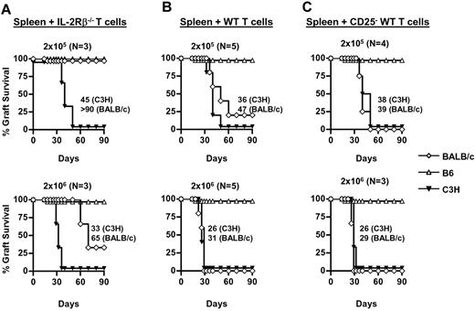 Figure 7. Ability of naive T cells to break skin graft tolerance of IL-2Rβ−/− mice that were adoptively transferred with allogeneic Treg cells. Eight-week-old Rag2−/−/γc−/− mice (H-2b) received 7 × 106 unfractionated spleen (SP) cells isolated from BALB/c→B6−/− mice along with the indicated numbers of unfractionated (A-B) or CD25-depleted (C) naive T cells isolated from IL-2Rβ−/− (A) or WT CD45.1 B6 congenic (B-C) mice. The naive T cells were from autoimmune-free IL-2Rβ−/− mice due to the transfer of syngeneic Treg cells at birth. Rag2−/−/γc−/− recipients were then transplanted with BALB/c, C3H, and B6 skin 2 days later. The number of mice in each group of recipients, combined from 2 independent experiments, and the MST of skin grafts are listed within each the panel.