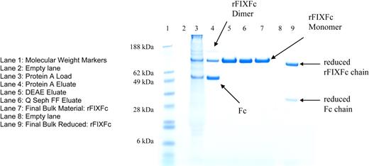 Figure 1. SDS-PAGE gel of purification intermediates and purified rFIXFc monomer. Samples from different steps in the purification of rFIXFc were analyzed by nonreducing SDS-PAGE. Lane 1: SeeBlue Plus Molecular Weight Markers (Invitrogen). Lane 2: Empty lane. Lane 3: Protein A Load. Lane 4: Protein A Eluate. Lane 5: Fractogel DEAE Eluate. Lane 6: Q Seph FF Eluate. Lane 7: Final Bulk Material: rFIXFc. Lane 8: Empty lane. The Final Bulk Material was also analyzed by SDS-PAGE after reduction with 2-mercaptoethanol in lane 9.