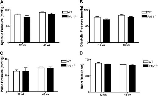 Figure 4. Hemodynamic parameters of WT and PAI−/− mice. The central arterial blood pressures and heart rates in 12- and 48-week-old WT and PAI-1−/− mice were monitored continuously for at least 3 days by radiotelemetry. The means of systolic pressure (A), diastolic pressure (B), and pulse pressure (C) were then calculated. Heart rates (D) were also monitored in each individual WT and PAI-1−/− mouse. The data represent means of at least 4 mice per group.