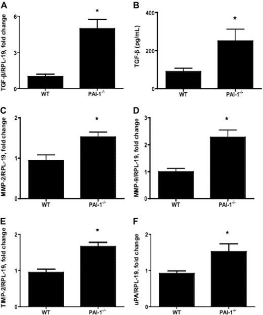Figure 7. Elevated level of cardiac ECM remodeling in PAI-1−/− mice. Both the mRNA level (A) and the protein level (B) of TGF-β in 12-week PAI-1−/− hearts were significantly higher than in WT hearts. Q-RT-PCR analysis of transcripts of proteins associated with tissue remodeling and fibrosis in 12-week WT and PAI-1−/− hearts, included MMP-2 (C), MMP-9 (D), TIMP-2 (E), and uPA (F). n ≥ 5 for each group; *P < .05.