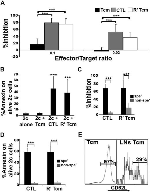 Figure 4. Tcms display low veto activity in vitro, but upon reactivation acquire an effector phenotype, which is associated with potent and specific veto activity. (A) 2c splenocytes were stimulated with irradiated BALB/c (H-2d) splenocytes in the presence or absence of CB6 (H-2bd)–derived purified Tcms, CTLs, or purified Tcms reactivated in vitro with their cognate third-party FVB stimulators for 60 hours (R′ Tcms). The veto cells were added at the indicated veto-effector ratios. Veto activity was analyzed by FACS analysis 3 days after the initiation of the mixed lymphocyte reaction (MLR), to monitor the inhibition of CD8+1B2+ 2c cell expansion. Results are presented as mean ± SD of percentage inhibition from 5 independent experiments. (B) FACS analysis of annexin V levels on living (7AAD−) CD8+1B2+ 2c cells, at the end of the MLR, plated with or without veto cells at a veto-effector ratio of 0.02. Results are presented as mean ± SD of percentage annexin V in 7 independent experiments. (C) MLR was established as in panel A. The inhibition of 2c cell expansion was evaluated when veto cells derived from specific CB6 (H-2bd, spe′) or nonspecific C3B6F1 (H-2bk, nonspe′) mice were added at a 0.02 veto-effector ratio. Results are presented as mean ± SD of percentage inhibition from 4 independent experiments. The 2c cells were also analyzed for annexin V levels (D). (E) Lethally irradiated (8 Gy) BALB/c mice received 4 × 106 C57BL/6-NUDE BM cells and 1.25 × 104 syngeneic T cells. Mice then received a transplant of 2 to 10 × 106 purified CB6 CD8+ Tcms, which were analyzed for CD62L phenotype before the adoptive transfer (left panel, Tcms). Mice were killed 4 days after adoptive transfer, and LNs were harvested and mashed; CD62L expression on CB6 CD8+ T cells, isolated from the LNs, was analyzed by FACS (right panel, LN Tcms). Representative result of Tcms isolated from LNs of 1 of 20 mice tested in 4 independent experiments is displayed. (A-E) ***P < .001.