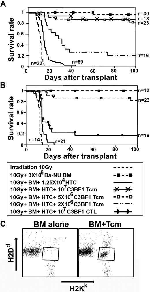 Figure 6. Tcms are endowed with marked tolerance induction capabilities, and persist in vivo at least 1 year after BMT. (A) Lethally irradiated (10 Gy) C3H (H-2K) mice received 1.25 × 104 syngeneic HTCs. Mice then received a transplant of 3 × 106 BALB/c-NUDE BM cells (H-2d,BA-NU BM) in the presence or absence of different doses of (C3H × BALB/c)F1 (H-2Kd, C3BF1) purified CD8+ Tcms. Data were pooled from 6 independent experiments. (B) Graft rejection model was established as in panel A. Mice received a transplant of 3 × 106 BALB/c-NUDE BM cells (H-2d, BA-NU BM) in the presence or absence of 5 × 106 (C3H × BALB/c)F1 (H-2Kd, C3BF1) purified Tcms or 1 × 107 (C3H × BALB/c)F1 CTLs. Data were pooled from 5 independent experiments. (C) Peripheral blood levels of Tcms were analyzed 1 year after BMT by FACS measuring H2KkH2Dd double-positive cells in the CD8+ gate. The figure shows representative mice of 7 mice that received a transplant of BM only (BM alone) or 7 mice that received a transplant of BM + HTCs + 5 × 106 (C3H × BALB/c)F1 CD8+ Tcms (BM + Tcms).
