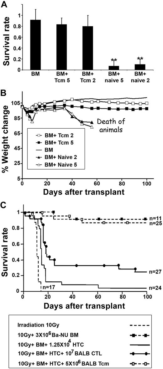 Figure 7. Fully allogeneic anti–third-party Tcms are depleted of GVH reactivity and support engraftment of TDBM allografts. (A-B) Supralethally irradiated (11 Gy) C3H mice were radioprotected with 5 × 106 BALB/c-NUDE BM cells in the presence or absence of 5 × 106 or 2 × 106 BALB/c-derived CD8+ purified Tcms (BM + Tcm 5 or BM + Tcm 2, respectively) or naive cells (BM + naive 5 or BM + naive 2, respectively). The GVH reactivity of the Tcms or the naive cells was reflected by survival percentage (A) or by average weight change (B) during 100 days after transplantation. Data represent averages of 3 independent experiments, with at least 5 mice for each group, in each experiment. **P < .01 compared with the group of mice that received only BM. (C) Lethally irradiated (10 Gy) C3H mice received 1.25 × 104 syngeneic HTCs. Mice then received a transplant of 3 × 106 BALB/c-NUDE BM cells (BA-NU BM) in the presence or absence of 5 × 106 BALB/c CD8+ purified Tcms or 1 × 107 BALB/c CTLs. Data were pooled from 3 independent experiments.