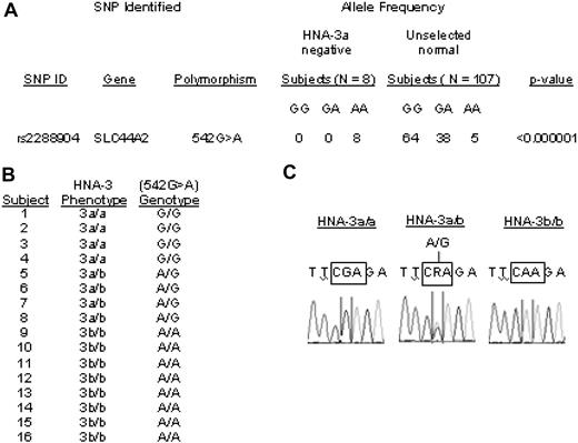 Figure 1. THE HNA-3a/b polymorphism is closely associated with a mutation in the CTL2 gene (SLC44A2). (A) Genome-wide SNP analysis of DNA from 8 unrelated HNA-3a–negative and 107 random persons. Each of the HNA-3a–negative subjects possessed AA at SNP rs2288904, whereas the distribution of A and G at the same position in random subjects corresponded to that expected for Hardy-Weinberg distribution of 2 alleles with gene frequencies of 0.21 and 0.79, respectively. (B) HNA-3a/b phenotypes and G>A542 genotypes in 16 subjects. Without exception, the HNA-3a/a, HNA-3a/b, and HNA-3b/b phenotypes correlated with the presence of GG, GA, and AA, respectively, at SNP rs2288904. (C) Representative DNA sequencing results for the G>A542 SNP in persons with phenotypes HNA-3a/3a, HNA-3a/3b, and HNA-3b/3b.