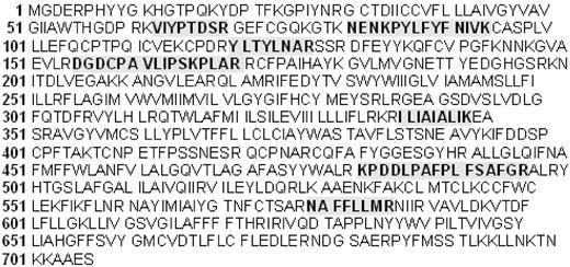 Figure 2. CTL2 peptides identified by mass spectrometry in protein immunoprecipitated from leukocytes with anti–HNA-3a. Proteins were separated by sodium dodecyl sulfate–polyacrylamide gel electrophoresis and stained with Coomassie blue. Bands of interest were excised and processed for analysis by mass spectrometry as described in “Mass spectrometry.” CTL2 was identified in each of 3 independent studies with statistical significance (P < .0001; Supplemental data). The 7 CTL2 peptides identified (shaded text) spanned almost the entire length of the protein.