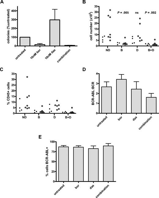 Figure 4. Effect of bortezomib on long-term colony formation and engraftment of BCR-ABL+ cells. (A) Results of LTC-IC assay in CD34+ CML (n = 2 CML samples each performed in duplicate). Results are expressed as percentage of number of colonies counted after culture of untreated cells (mean ± SEM). Cells were exposed to drug for 24 hours before long-term culture with 10nM bortezomib and 10nM dasatinib. Statistical analysis was not performed because only 2 samples were assayed. The apparent increase in colonies after dasatinib exposure is not thought to be significant. (B) Engraftment of treated CD34+ CML cells in sublethally irradiated mice. In the first experiment, 1 CML sample was exposed to no drug, bortezomib 10nM, dasatinib 10nM, or the combination of bortezomib 10nM with dasatinib 10nM for 72 hours and then injected into 4 mice per arm (ie, 16 mice; ●). In the second and third experiments, CML samples (1 per experiment) were exposed to no drug, bortezomib 20nM, dasatinib 150nM, or the combination of bortezomib 20nM with dasatinib 150nM for 24 hours and then injected into 4 mice per arm per experiment (ie, 32 mice; ○). The total number of human CD45+ cells isolated from BM at 6 weeks is shown with statistical comparison of experimental arms in comparison with untreated control. (C) The data generated from panel B are expressed as percentage of human CD45+ cells isolated from mouse BM at 6 weeks. (D) Human CD45+ cells from panel B underwent analysis by Q-PCR to determine BCR-ABL/BCR ratio. Because engraftment levels showed similar trends within each arm for the 3 CML samples assayed, the data were pooled for each treatment arm across all 3 experiments. (E) For each mouse, the percentage of CD45+ cells that is BCR-ABL+ by D-FISH is shown.