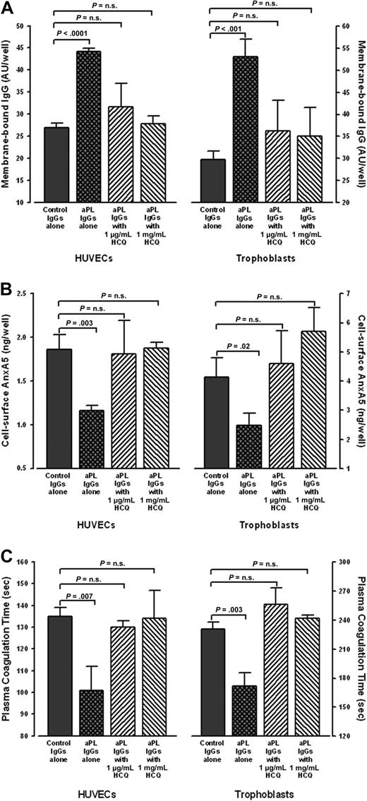 Figure 3. HCQ reduced bindings of aPL IgG, increased quantity of AnxA5, and reversed the acceleration of plasma coagulation on cultured HUVECs and STCs. (A) HCQ reduced binding of aPL IgGs to cultured cells. In the absence of HCQ, HUVECs (left panel) exposed to human aPL IgGs (0.5 mg/mL) bound significantly more IgG than with control IgGs (44.2 ± 0.7 AU/well vs 26.9 ± 1.1 AU/well; P < .001); HCQ significantly reduced the binding of aPL IgGs to the surfaces of HUVECs (31.5 ± 5.2 AU/well for HCQ at 1 μg/mL and 27.8 ± 1.8 AU/well for HCQ at 1 mg/mL) to levels that were not significantly different from control IgGs (26.9 ± 1.1 AU/well;P = .19 and P = .50, respectively). Similarly, STCs (right panel) exposed to human aPL IgGs (0.5 mg/mL) bound significantly more IgG than with control IgGs (53.0 ± 4.0 AU/well vs 29.8 ± 1.8 AU/well; P < .001); HCQ significantly reduced the binding of aPL IgGs to the surfaces of STCs (36.2 ± 7.0 AU/well for HCQ at 1 μg/mL and 35.0 ± 6.6 AU/well for HCQ at 1 mg/mL) to levels that were not significantly different from control IgGs (29.8 ± 1.8 AU/well; P = .20 and P = .26, respectively). There were no significant differences between control IgGs in the absence or presence of both concentrations of HCQ (data not shown). As described in “Human umbilical vein endothelial cell cultures” and “STC cultures,” 3 pairs of IgGs from APS patients and controls were used for all of these experiments, done in quadruplicate for each IgG. (B) HCQ increased AnxA5 levels on cultured HUVECs and STCs exposed to aPL IgGs. In the absence of HCQ, aPL reduced AnxA5 levels compared with control IgG (1.2 ± 0.1 ng/well vs 1.9 ± 0.2 ng/well; P = .003); HCQ increased AnxA5 levels on the aPL IgG-treated cells to levels similar to control IgGs (1.8 ± 0.4 ng/well for 1 μg/mL HCQ and 1.9 ± 0.1 ng/well for 1 mg/mL HCQ vs 1.9 ± 0.2 ng/well for control IgG; P = .85 and P = .88, respectively). The same effect was seen with STCs, wherein aPL IgG reduced AnxA5 (2.5 ± 0.4 ng/well vs 4.1 ± 0.7 ng/well for control IgGs; P = .02), and HCQ increased the AnxA5 to levels similar to control IgGs (4.6 ± 1.1 ng/well for 1 μg/mL HCQ and 5.7 ± 0.8 ng/well for 1 mg/mL HCQ vs 4.1 ± 0.7 ng/well; P = .57 and P = .06, respectively). There were no significant differences between control IgGs in the absence or presence of both concentrations of HCQ (data not shown). (C) HCQ reversed the acceleration of coagulation times of plasmas overlaid on cultured HUVECs and STCs exposed to aPL IgGs. The coagulation times of plasma on aPL IgG-treated HUVECs (left panel) were significantly accelerated compared with control IgGs (101 ± 11 seconds vs 135 ± 4 seconds; P = .007). HCQ significantly prolonged them to coagulation times that were not significantly different from control IgGs (130 ± 3 seconds for 1 μg/mL HCQ and 134 ± 13 seconds for 1 mg/mL HCQ vs 135 ± 4 seconds for control IgGs; P = .15 and P = .90, respectively). The same effect was seen with STCs (right panel), wherein the coagulation times of plasma overlaid on aPL IgG-treated cells were significantly accelerated (172 ± 14 seconds vs 231 ± 7 seconds for control IgGs; P = .003). HCQ significantly prolonged them to coagulation times that were not significantly different from control IgGs (256 ± 17 seconds for 1 μg/mL HCQ and 242 ± 3 seconds for 1 mg/mL HCQ vs 231 ± 7 seconds for control IgG; P = .08 and P = .07, respectively). There were no significant differences between control IgGs in the absence or presence of both concentrations of HCQ (data not shown).