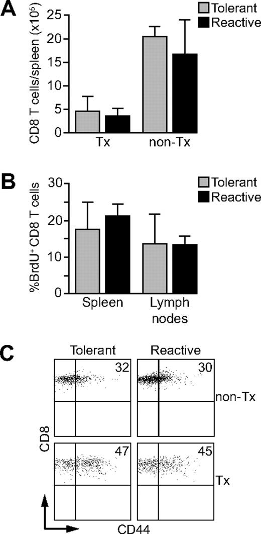 Figure 1. Des-TCR CD8 T cells in Kb-tolerant and Kb-reactive mice do not differ in homeostatic expansion and CD44 expression. (A) The absolute number of CD8 T cells in spleens of adult nonthymectomized (non-Tx) and thymectomized (Tx) Des-TCR × 2.4KerIV-Kb.RAG2−/− (tolerant) and Des-TCR.RAG2−/− (reactive) mice were determined (at the age of 9 weeks; n = 5-9 mice/group; P < .01 for the respective nonthymectomized versus thymectomized mice). (B) Three-week-old thymectomized Des-TCR × 2.4KerIV-Kb.RAG2−/− (tolerant) and thymectomized Des-TCR.RAG2−/− (reactive) mice were given BrdU (0.8 mg/mL) into the drinking water for 10 days. Six weeks later, spleen and lymph node CD8 T cells were analyzed by flow cytometry for incorporation of BrdU. Shown are mean percentages ± SD of BrdU-positive CD8 T cells (n = 4). (C) Splenocytes from thymectomized (Tx) and from nonthymectomized (non-Tx) Des-TCR × 2.4KerIV-Kb.RAG2−/− (tolerant; percentage of CD44high CD8 T cells: 47.3% ± 13.8% versus 32.4% ± 3.6%, P < .05) and Des-TCR.RAG2−/− mice (reactive; percentage of CD44high CD8 T cells: 44.6% ± 12.9% versus 30.0% ± 4.2% P < .05) were analyzed by flow cytometry for CD44 expression after gating on Des-TCR CD8 T cells. Shown are relative log fluorescence intensities for CD8 and CD44. The numbers represent the mean percentages of CD44high CD8 T cells and were pooled from 4 independent experiments.