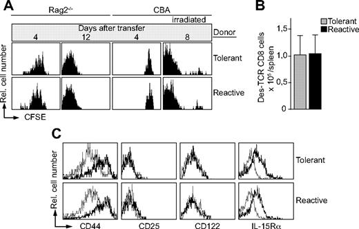 Figure 2. Kb-tolerant Des-TCR CD8 T cells divide after transfer into lymphopenic mice. (A) CSFE-labeled splenocytes (2 × 106) from thymectomized Des-TCR × 2.4KerIV-Kb.RAG2−/− mice (tolerant) and thymectomized Des-TCR.RAG2−/− mice (reactive) were transferred intravenously into RAG2−/− mice, CBA mice, as well as irradiated CBA mice (6 Gy, 1 day before transfer). At the indicated time points, host splenocytes (n > 4 per time point) were analyzed by flow cytometry. Shown are relative log fluorescence intensities for CFSE after gating on Des-TCR CD8 cells. (B) The absolute number of Des-TCR CD8 T cells was determined 12 days after transfer into RAG2−/− mice. (C) The indicated surface marker expression level on Des-TCR CD8 T cells was determined by flow cytometry before (thin line) and 10 days after (bold line) transfer of 2 × 106 splenocytes from thymectomized Des-TCR × 2.4KerIV-Kb.RAG2−/− (tolerant) and thymectomized Des-TCR.RAG2−/− mice (reactive) into RAG2−/− mice. Specificity of antibody staining was verified with the respective isotype-matched control antibody. Shown are relative log fluorescence intensities for the indicted cell surface molecules. Representative data from 2 to 4 independent experiments are shown (5 to 8 mice per group in total).