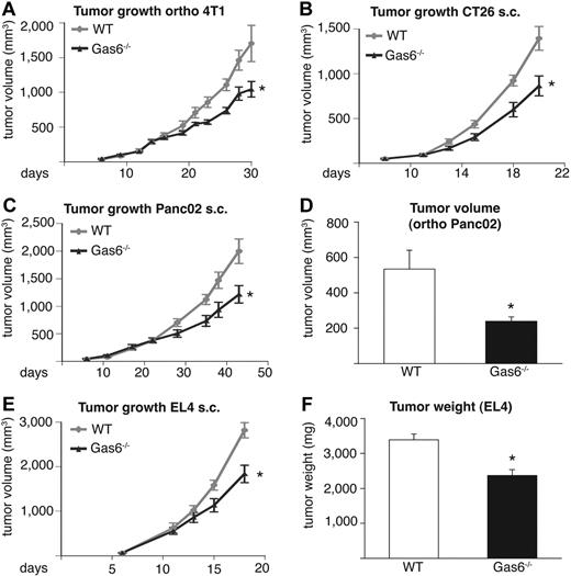 Figure 2. Gas6 deficiency inhibits tumor growth in different tumor models. In all panels, the tumor size in Gas6−/− mice is smaller than in WT mice. (A) Growth of orthotopic 4T1 breast tumors (n = 6-8; P < .05). (B) Growth of subcutaneous (s.c.) CT26 colon tumors (n = 7-9; P = .01). (C) Growth of subcutaneous Panc02 pancreatic tumors (n = 8-10; P = .02). (D) End-stage tumor volume of orthotopic Panc02 pancreatic tumors (n = 7-8; P = .01). (E) Growth of subcutaneous EL4 tumors (n = 6; P < .05). (F) End-stage tumor weight of subcutaneous EL4 tumors (n = 6; P = .001).