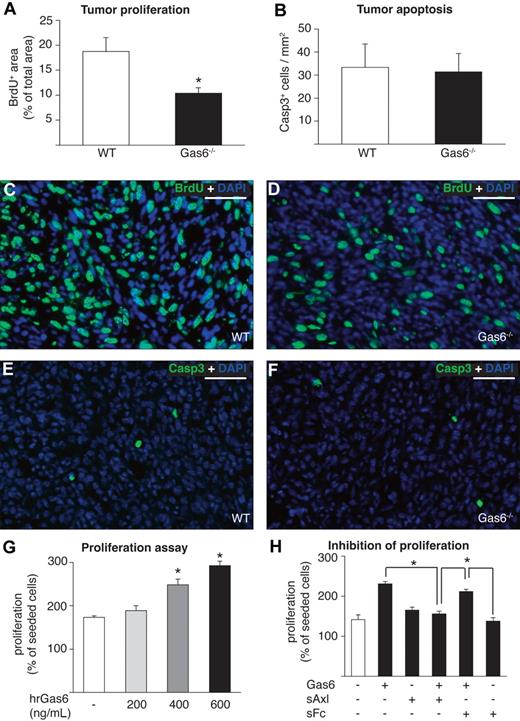 Figure 3. Gas6 induces proliferation of tumor cells in vitro and in vivo. (A) Morphometric analysis of proliferation on BrdU-stained CT26 tumor sections revealing reduced proliferation of tumor cells in Gas6−/− vs WT mice (n = 8; P < .005). (B) Morphometric analysis of Caspase 3 (Casp3) staining showing similar tumor cell apoptosis in CT26 tumors in both genotypes (n = 8; P = NS). (C-D) Representative micrographs of immunofluorescent BrdU stainings (BrdU+ nuclei stained in green, all nuclei stained in blue with DAPI) of CT26 tumors grown in WT mice and Gas6−/− mice indicate reduced proliferation of tumor cells in Gas6−/− mice. (E-F) Representative micrographs of immunofluorescent stainings of activated Caspase 3 (activated Caspase 3+ nuclei stained in green, all nuclei stained in blue with DAPI) indicating similar numbers of apoptotic cells in CT26 tumors grown in WT mice and Gas6−/− mice. (G) Recombinant human Gas6 (hrGas6) dose-dependently induces proliferation of CT26 tumor cells in vitro after 48 hours (n = 3; P < .05). (H) Axl-Fc reduced proliferation of CT26 tumor cells induced by 400 ng/mL Gas6 compared with control without Fc (bar 4 vs bar 2; P = .001; n = 3), whereas the addition of control sFC led to a nonsignificant inhibition (bar 5 vs bar 2; P = NS; n = 3). Scale bars represent 100 μm in panels C-F.