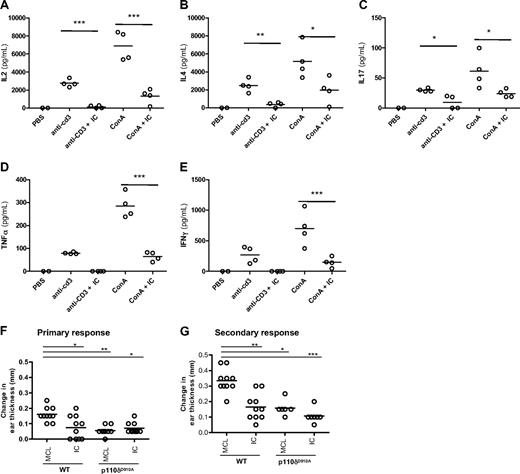 Figure 3. IC reduces T-cell cytokine production and contact hypersensitivity responses in vivo. WT B6 mice were given one oral dose of IC (30 mg/kg) 30 minutes before being administered anti-CD3 or ConA intravenously. Cytokine concentrations in the serum 1.5 hours after injection were measured: (A) IL-2, (B) IL-4, (C) IL-17, (D) IFN-γ, and (E) TNF-α. (F-G) WT and p110δD910A mice were sensitized on the abdomen with TNCB and then rechallenged with TNCB on one ear 6 days (F; primary response) or 6 and 30 days (G; secondary response) later. Mice were dosed twice orally with 30 mg/kg IC or MCL alone on the day of the final rechallenge, and the change in ear thickness was measured 24 hours later. The effect of p110δ genetic or pharmacologic inactivation was compared with WT mice receiving MCL only, and P values were calculated using 1-way analysis of variance with Bonferroni posttest. *.01 < P < .05; **.001 < P < .01; ***P < .001. Data are representative of 3 experiments for primary responses and 1 experiment for secondary responses.