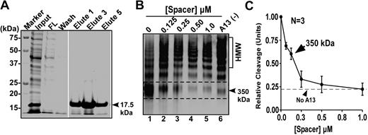 Figure 4. Recombinant spacer domain inhibits proteolytic cleavage of multimeric VWF by ADAMTS13 under fluid shear stress. (A) SDS-PAGE with Coomassie blue shows the various fractions of recombinant ADAMTS13 spacer domain before and after Ni-affinity chromatography. (B) Purified plasma-derived VWF (37.5 μg/mL) was incubated at 37°C with 0-1.0μM of purified spacer domain in the absence or presence of 20mM EDTA for 60 minutes. Then, ADAMTS13 (20nM) along with recombinant FVIII (10nM) and lyophilized platelets (∼ 200 × 103/μL) was added into the reaction (total volume, 20 μL). The reaction mixture was subjected to vortexing (2500 rpm) for 5 minutes. The proteolysis of VWF was determined by multimer analysis on 1% agarose gel electrophoresis and Western blot. HMW indicates high-molecular-weight multimer. The proteolytic cleavage product (350 kDa) is indicated with dashed frame and arrowhead. (C) Quantification of the 350-kDa cleavage product by densitometry is plotted in the y-axis against the concentrations of purified recombinant spacer domain (micromole) in x-axis.