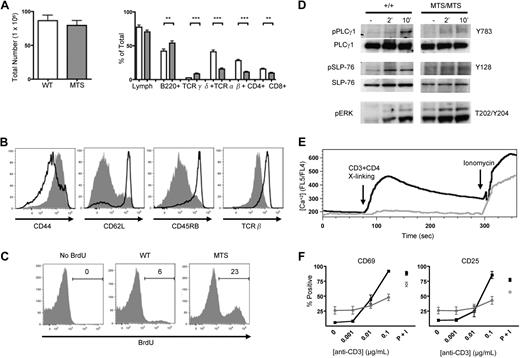 Figure 1. Peripheral CD4+ T cells in MTS mice are greatly decreased in number, possess an activated-like phenotype, and have impaired TCR signaling. (A) Total number of cells obtained from the spleen and peripheral LNs of WT (□) and MTS (▩) mice and percentages of lymphocyte subsets as determined by flow cytometry. Data are mean ± SEM and are representative of more than 5 independent experiments using 2 or 3 mice per group. Significance was determined using the 2-tailed Student t test. **P < .01. ***P < .001. (B) Surface expression of activation markers of WT (solid line) and MTS (shaded) mice. Histograms are gated on CD4+ T cells. Data are representative of more than 5 independent experiments using 2 or 3 mice per group. (C) Intracellular staining for the incorporation of BrdU in WT and MTS mice. Histograms are gated on CD4+ T cells. Data are representative of 2 independent experiments using 2 or 3 mice per group. (D) Purified peripheral T cells were stimulated for indicated lengths of time with a TCR cross-linking antibody, lysed, and blotted for phospho-PLC-γ1, total PLC-γ1, phospho-SLP-76, total SLP-76, and phospho-ERK. Data are representative of 3 independent experiments. (E) Peripheral cells from WT (black line) and MTS (gray line) mice were loaded with the calcium indicator Indo-1 and analyzed for their ability to flux calcium in response to CD3/CD4 cross-linking and ionomycin at the indicated time points. Histograms are gated on CD4+ T cells. Data are representative of 4 independent experiments using 1 or 2 mice per group. (F) Splenocytes isolated from either WT (black line) or MTS (gray line) mice were cultured in the presence of the indicated stimulus and stained for the early activation markers CD25 and CD69. Percentages are taken from positive gates set on the total CD4+ T-cell population. Data are mean ± SEM and are representative of 2 independent experiments. P + I indicates PMA plus ionomycin.