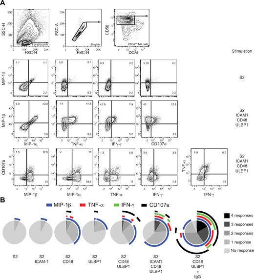 Figure 6. Interrelationships between different NK-cell responses induced by target cell recognition. Resting NK cells were mixed with S2 cells expressing ligands for NK-cell receptors, as indicated, and incubated for 6 hours at 37°C. For some stimulations, S2 cells were preincubated with diluted anti–S2 cell serum (+ IgG). After stimulation, the cells were surface stained with fluorochrome-conjugated anti-CD56 and anti-CD107a mAbs, fixed, permeabilized, and stained intracellularly with fluorochrome-conjugated mAbs to cytokines and chemokines. (A) Lymphocytes were gated on forward scatter height (FSC-H) versus side scatter height plots (SSC-H). Single-cell events were gated on forward scatter height (FSC-H) versus forward scatter area plots (FSC-A). CD56dim NK cells were gated on CD56 versus dead cell marker (DCM) plots. The second and third rows show MIP-1α, TNF-α, IFN-γ, and CD107a staining in relation to MIP-1β staining after stimulation with S2 cells, as indicated. The bottom row shows MIP-1β, MIP-1α, TNF-α, and IFN-γ staining in relation to CD107a staining, and IFN-γ staining in relation to TNF-α staining (right panel). Gates were set using fluorochrome-conjugated isotype control mAbs. The plots are derived from one representative donor. (B) CD56dim NK cells were gated as described in panel A, and a Boolean gating strategy was used for analysis. Pie charts represent the frequency of cells positive for the given number of measured responses (MIP-1β, TNF-α, IFN-γ, and CD107a). Thus, cells can be categorized into the number of responses they display. Arcs depict the relative frequency of cells specifically positive for MIP-1β, TNF-α, IFN-γ, and/or CD107a staining, as indicated. Values represent the mean of 6 different donors.