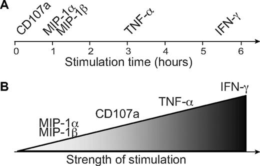 Figure 7. Schematic representation of activation thresholds and kinetics of resting CD56dim NK-cell responses. (A) Approximate times required for induction of different NK-cell responses such as degranulation (surface expression of CD107a), chemokine secretion (MIP-1α and MIP-1β), and cytokine secretion (IFN-γ and TNF-α) are indicated on the time scale. (B) The figure depicts the relative signal strength required for induction of different NK-cell responses such as degranulation (surface expression of CD107a), chemokine secretion (MIP-1α and MIP-1β), and cytokine secretion (IFN-γ and TNF-α).