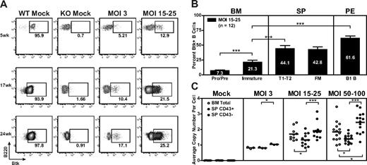 Figure 4. Btk+ B cells exhibit progressive selective advantage. (A-B) PB, BM, spleen, and peritoneal cells were stained for surface markers and intracellular Btk and analyzed by flow cytometry. (A) Representative data showing Btk expression in PB B cells analyzed at weeks 5, 17, and 24 after transplantation. FACS plots show representative mice from WT mock (n = 7), KO mock (n = 8), MOI 3 (n = 3), and MOI 15 to 25 (n = 12) experimental groups. (B) Btk+ cells in various B-cell subsets displayed according to increasing maturity in BM and periphery in MOI 15 to 25 LV-treated mice. (C) gDNA derived from total BM, splenic non-B (CD43+), and B (CD43−) cell populations was evaluated for viral copy number. Data represent 4 independent experiments. ***P < .001; **P = .001-.01; *P = .01-.05.