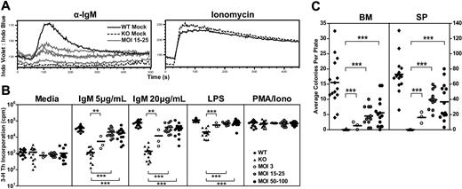 Figure 5. EμB29-Btk gene therapy restores Btk-dependent BCR and mitogen signaling. BM and splenocytes cells were assessed using various functional assays at the time of harvest. (A) In 1 of 4 experiments, splenocytes were stained for surface markers, stimulated with anti-IgM or ionomycin, and analyzed for calcium flux. Representative traces from B220+ cells in WT mock (n = 1), KO mock (n = 1), and MOI 15 to 25 (n = 4) experimental groups are shown. (B) Splenocytes were analyzed for cell proliferation in response to anti-IgM, LPS, or PMA/ionomycin stimulation. (C) BM or splenocytes cells were analyzed for colony-forming unit cell production. WT and KO datasets include both unmanipulated and mock-transplanted animals. Data represent 4 independent experiments, unless otherwise noted. P values compare EμB29-Btk vs KO groups: ***P < .001; **P = .001-.01; *P = .01-.05.