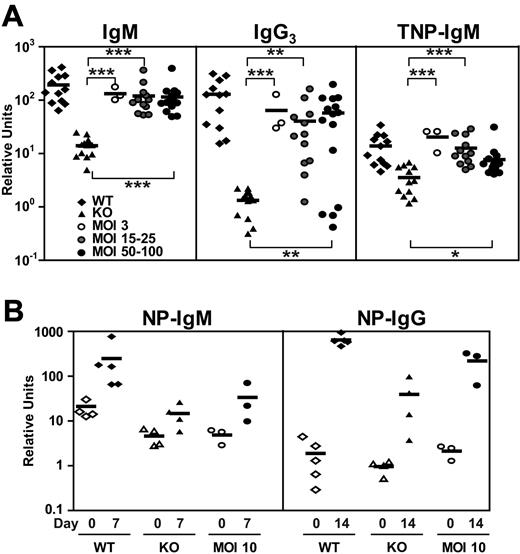 Figure 6. Improved T-independent and T-dependent immune responses in EμB29-Btk-LV–treated mice. Mice were immunized with TNP-Ficoll or NP-CGG in alum at 15 to 17 weeks after transplantation. (A) Sera levels of IgM, IgG3, and TNP-IgM at day 14 after immunization were analyzed by ELISA and expressed relative to IgM or IgG3 standard curves. (B) Sera levels of NP-IgM were evaluated by ELISA at days 0 and 7, and levels of NP-IgG were evaluated at days 0 and 14. WT and KO datasets include both unmanipulated and mock-transplanted animals. Data represent 4 independent experiments (A) and 1 experiment (B). P values compare EμB29-Btk and KO groups: ***P < .001; **P = .001-.01; *P = .01-.05.