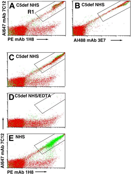 Figure 4. Binding of C3 fragments to PNH erythrocytes incubated in acidified C5-deficient NHS. PNH erythrocytes from patient 2 were incubated in acidified C5-deficient human serum (C5def NHS; A-C), in acidified C5-deficient human serum chelated with EDTA (D), or in aNHS (E). After washing, the cells were stained with a combination of fluorescently labeled mAbs specific for activation and degradation products of C3 (Table 1) and subsequently analyzed by flow cytometry. In panels A and B, the cells were stained with a cocktail that contained 3 mAbs: Al488 mAb 3E7, PE mAb 1H8, and Al647 mAb 7C12. In panels C through E, only 2 mAbs, PE mAb 1H8 and Al647 mAb 7C12, were used to stain the cells. Cells that are doubly positive for both anti-C3 antibodies are contained in the area circumscribed by the rectangular area labeled R1. The readouts are similar in both panels A (all 3 mAbs used to stain, including 3E7) and C (only 2 mAbs used to stain), indicating that mAb 3E7 does not interfere with binding of mAbs 7C12 and 1H8. Dot plots show both erythrocytes (red) and ghosts (green). In the case of the cells incubated in acidified C5-deficient serum, the fluorescently labeled anti-C3b antibodies bound to intact erythrocytes because lysis did not occur, whereas in the case of the cells incubated in aNHS, the fluorescently labeled anti-C3b antibodies bound to ghost because the GPI-AP–deficient cells are hemolyzed. The low level of binding of PE mAb 1H8 to the erythrocytes observed along the horizontal axis of panels A and C through E is likely due to the presence of C3dg that was deposited on these cells in vivo, as the patient whose cells were used in this experiment was being treated with eculizumab. The results of 1 experiment, representative of 2, are illustrated.
