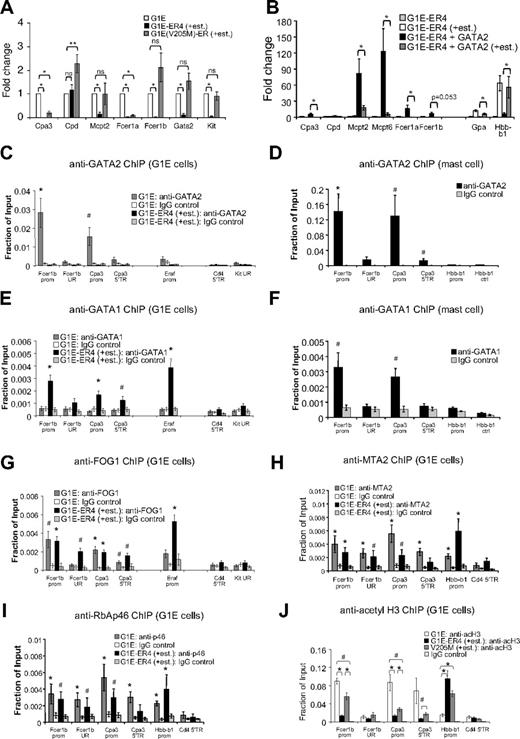 Figure 7. GATA factors and FOG1 regulate MC genes in erythroid cells. (A) mRNA levels of indicated genes as determined by quantitative RT-PCR of G1E cells, and G1E-ER4 and G1E(V205M)-ER cells treated with estradiol for 20.5 hours. Data were normalized to actin and plotted as fold change compared with uninduced G1E cells; n = 3-5. *P < .001; **P < .05; ns indicates not significant. (B) Overexpression of GATA2 in G1E-ER4 cells (G1E-ER4 + GATA2) stimulates MC gene expression, whereas estradiol-activated GATA1-ER (+est.) represses them; n = 6. *P < .05 comparing G1E-ER4 + GATA2 ± estradiol treatment. (C-G) ChIP for GATA2 (C-D), GATA1 (E-F), and FOG1 (G) at FcerIb and Cpa3 in G1E cells (C,E,G) or BMMC (D,F). Control regions included: −7 kb upstream of the FcerIb promoter (UR), an intronic region 3 kb downstream of the Cpa3 promoter (5′TR), the 5′transcribed region of Cd4 (Cd4 5′TR), and a region −224.9 kb upstream of the Kit gene (UR). Positive control, the GATA1-activated Eraf erythroid gene. n = 3-8 independent ChIP experiments per primer set. (H-I) ChIP against MTA2 (H) and RbAp46 (I) in G1E cells and G1E-ER4 (+est.); n = 4-6. The promoter of GATA1-activated Hbb-b1 served as a positive control. *P < .01, #P < .05 by Student t test compared with IgG controls (C-I). (J) ChIP for acetylated histone H3 (acH3) in G1E cells, and G1E-ER4 and G1E(V205M)-ER cells treated with estradiol for 20.5 hours; n = 4-6. *P < .01, #P < .05 by Student t test. Error bars represent SEM.