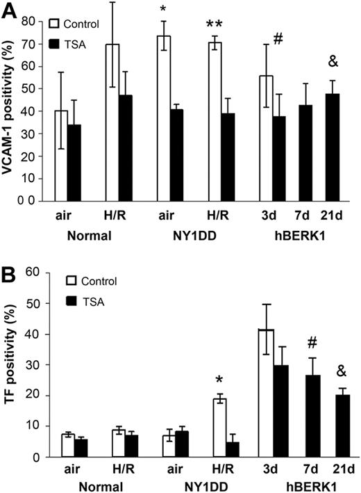 Figure 2. VCAM and TF in the control and sickle mouse. VCAM (A) and TF (B) in the C57BL6 control and NY1DD sickle mice, which were pretreated with TSA for 3 days; hBERK1 mice were treated for 3, 7, or 21 days only at ambient air. NY1DD mice were studied at air and after H/R, as indicated, whereas hBERK1 animals were studied only at air. (A) *P < .001; **P < .001; #P = .027; &P = .019. (B) *P < .001; #P = .029; and &P < .001. Number of experimental animals, for bars left to right: top panel, 8, 4, 8, 4, 4, 6, 4, 6, 6, 6, 6, and 6; bottom panel, 4, 4, 4, 4, 4, 6, 4, 6, 6, 6, 6, and 6. These data illustrate that TSA decreases expression of VCAM and TF when given as pretreatment before the H/R-induced boost in endothelial stimulation (NY1DD model). In the hBERK1 model, with already-boosted VCAM and TF at ambient air, the TSA reduced VCAM but not TF unless it was given for a prolonged period. Error bars show ±SD.