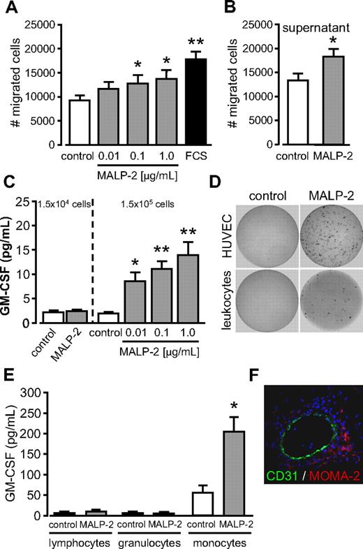 Figure 6. TLR2/6-dependent stimulation by MALP-2 promotes migration and GM-CSF release of leukocytes. (A) Migration of human leukocytes (1 × 105) was carried out in transwell cell-culture inserts for 24 hours after stimulation with different concentrations of MALP-2 as indicated; 10% FCS was used as positive control (n = 8). *P < .05, **P < .01 vs control. (B) Migration of human leukocytes (1 × 105) was carried out in transwell cell-culture inserts for 24 hours. As chemoattractant, supernatants from leukocytes after 24 hours stimulation with MALP-2 (1 μg/mL) were used and compared with control supernatant from unstimulated leukocytes (n = 6). *P < .05 vs control. (C) GM-CSF levels in supernatants of 1.5 × 104 and 1.5 × 105 human leukocytes after stimulation with MALP-2 (1 μg/mL) or with different concentrations of MALP-2 for 24 hours as indicated determined by ELISA (n = 7). *P < .05, **P < .01 vs control. (D) GM-CSF release from HUVECs (1.5 × 104) and human leukocytes (1.5 × 104) after stimulation with MALP-2 (1 μg/mL) for 24 hours assessed by ELISPOT. Representative pictures of 3 independent experiments are shown. (E) GM-CSF levels in sorted lymphocytes, granulocytes, and monocytes (1.5 × 105) after stimulation with MALP-2 (1 μg/mL) for 24 hours as determined by ELISA (n = 5). *P < .05 vs control. (F) Immunofluorescent staining of Matrigel plaques after the administration of MALP-2 (1 μg/mL) for 6 days with antibodies against CD31 and MOMA-2. Representative pictures of 3 independent experiments are shown (Leica DM 4000B microscope, 20×/0.50 NA dry objective, Leica DFC 320 camera, Leica QWin Version 3 software). (A-C,E) Error bars represent mean ± SEM.