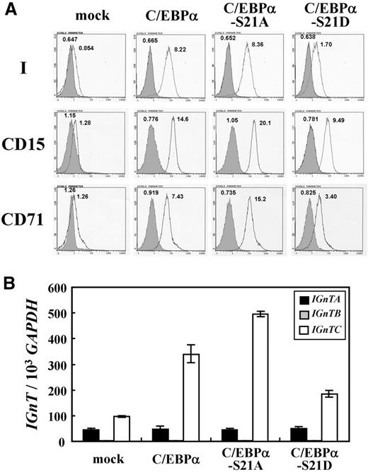 Figure 7. Lentiviral expression of C/EBPα, C/EBPα-S21A, and C/EBPα-S21D in CD34+ cells. (A) Flow cytometric analysis for I antigen expression. Expression of the I antigen on the cells transduced with the virions prepared from the pLenti6 gene transfer vectors harboring full coding cDNAs for C/EBPα, C/EBPα-S21A, or C/EBPα-S21D, and those transduced with the virions prepared from the mock pLenti6 vector were analyzed using flow cytometry and detected with monoclonal anti-I antibody. Open and shaded areas indicate cells detected with anti-I antibody and FITC-conjugated secondary antibody and with FITC-conjugated secondary antibody only, respectively. The geometric MFI detected is shown on the top of each peak. (B) Expression profiles of IGnT transcripts. Real-time PCR was used to quantify the IGnT and GAPDH transcripts in the cDNA sample. Quantities of the IGnTA, IGnTB, and IGnTC transcripts were normalized to that of GAPDH transcript in each sample. Data were obtained from 3 detections; SDs are shown.