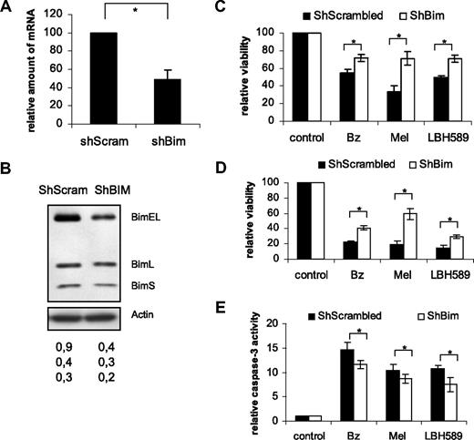 Figure 4. Bim silencing protects Karpas707 cells from drug-induced apoptosis. (A-B) Silencing of Bim in the Karpas707 cells. (A) Comparison of the Bim expression of the ShScrambled (control) and ShBim Karpas707 cell lines with the use of quantitative RT-PCR analysis. The mean value ± SD of 3 independent experiments is given (*P < .05). (B) Comparison of the Bim expression of the ShScrambled (lane 1) and ShBim (lane 2) Karpas707 cell lines by Western blot analysis. Equivalent amounts of lysates were immunoblotted with anti-Bim and anti-actin to confirm equal loading. One experiment representative of 3 is shown. The numbers below refer to the optical density of the BimEL, BimL, and BimS bands as measured with the NIH1.62 image program. Variation between experiments was below 10%. (C-E) Cells were treated with 10nM bortezomib, 15μM melphalan, and 15nM LBH589 for (C) 24 and (D) 48 hours. Viability was measured by the Celltiter-Glo luminescent cell viability assay. Caspase-3 activity after 24 hours of treatment (E) was measured with the Caspase-Glo 3/7 assay. Experiments were performed 4 times, and the results are given as the percentage of control (untreated) viability or caspase-3 activity (mean value ± SD; *P < .05).