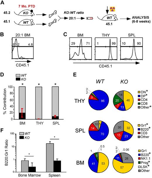 Figure 4. De novo lymphopoiesis, but not myelopoiesis, is dependent on gp96. (A) Diagram of experimental design: BM cells from KO (7 months PTD BM chimera, 45.2) and WT (45.1) mice were transplanted in 20:1 ratio to lethally irradiated recipients (45.1) and analyzed 4 to 6 weeks PTD. (B) Representative congenic analysis of donor BM after 20:1 mix of WT and KO cells. (C) Congenic analysis of a representative recipient for relative contribution by WT (n = 4) and KO (n = 4) cells to the various hematopoietic tissues 4 to 6 weeks after BM reconstitution. (D-E) Congenic gated WT (gray) and KO (black) cells were analyzed for their relative contribution (number indicates percentage) to various lineages and hematopoietic tissues. (F) Percentage of B220+ cells over Gr1+ cells in BM and spleen of WT and KO mice. Data are representative of 2 independent experiments. *P < .05.