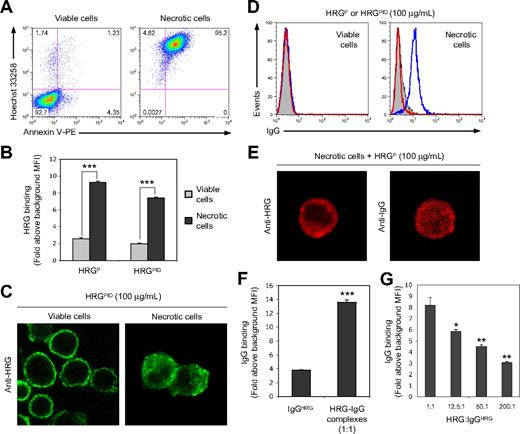 Figure 2. HRG mediates the binding of the copurified IgG to necrotic cells but not to viable cells. (A) Analysis of viable and necrotic (56°C for 30 minutes) Jurkat T cells by flow cytometry on the basis of Hoechst 33258 and annexin V–PE staining to determine viable, early apoptotic and necrotic cells. (B) Quantitative comparison of the ability of HRG in HRGP or HRGPID preparations (100 μg/mL) to bind to either viable or necrotic cells, as detected by flow cytometry. (C) Cellular localization of HRGPID (100 μg/mL) bound to viable or necrotic cells as determined by CLSM. (D) Flow cytometric detection of IgG binding to viable and necrotic cells incubated with either HRGP or HRGPID preparations (100 μg/mL) in the absence of any additional IgG. Representative flow cytometric histograms are shown, with filled histograms representing Ab only control and open blue and red histograms representing IgG binding when HRGP and HRGPID preparations, respectively, were used. (E) Cellular localization by CLSM of HRG and IgG bound to necrotic cells after incubation with HRGP (100 μg/mL). (F) Quantitative comparison of IgGHRG (2 μg/mL) binding to necrotic cells either alone or in the presence of an approximately 1:1 molar ratio of HRG, with the HRGP preparation being used as the source of HRG-IgG complexes. (G) Effect of increasing concentrations of HRGPID (as molar ratio of HRG:IgGHRG) on the binding of IgGHRG to necrotic cells. IgG binding in panels F and G was determined by flow cytometry. Data in panels B, F, and G are expressed as fold binding above background mean fluorescence intensity (MFI), with error bars representing SEM (n = 3). *P < .05; **P < .01; ***P < .001.