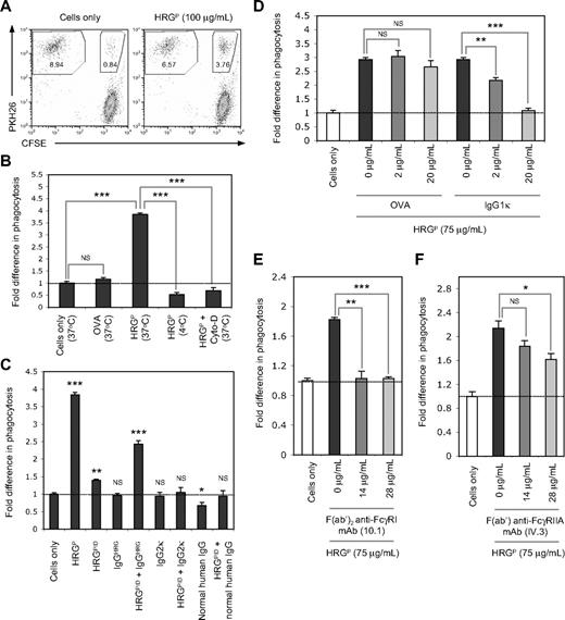 Figure 3. HRG and the copurified IgG function cooperatively to facilitate phagocytosis of necrotic cells via a FcγR-dependent mechanism. Phagocytic assays were performed using the monocytic cell line THP-1 and necrotic Jurkat T cells labeled with PKH26 or CFSE, respectively. THP-1 cells were mixed with necrotic cells at a ratio of 1:10 and incubated at 37°C for 60 minutes before analysis by flow cytometry. (A) Ability of HRGP (100 μg/mL) to enhance the phagocytosis of necrotic cells by THP-1 cells. Representative flow cytometric plots are shown for phagocytic assays performed in the presence or absence of HRGP. Values in each gated area represent percentage of cells in the assay. (B) Effect of temperature (4°C or 37°C) and the cytoskeleton disruptor Cyto-D (25 μM) on the ability of HRGP (100 μg/mL) to mediate the uptake of necrotic cells by THP-1 cells. OVA (100 μg/mL) is included as a negative control protein. (C) Effect of HRGP or HRGPID (100 μg/mL), and IgGHRG (2 μg/mL), a human IgG2κ myeloma (2 μg/mL), or pooled normal human IgG (2 μg/mL) either alone or in the presence of HRGPID (100 μg/mL) on the phagocytosis of necrotic cells by THP-1 cells. (D) Effect of a human IgG1κ myeloma on HRGP (75 μg/mL)–mediated uptake of necrotic cells, with OVA being included as a negative control. Effect of (E) a human FcγRI blocking mAb (mouse F(ab′)2 anti–human FcγRI mAb, clone 10.1) or (F) a human FcγRIIA blocking mAb (mouse F(ab′) anti–human FcγRIIA mAb, clone IV.3) on the ability of HRGP (75 μg/mL) to enhance the phagocytosis of necrotic cells. The level of phagocytosis was determined as the percentage of PKH26-positive THP-1 cells that had ingested CFSE-positive necrotic cells. Data in panels B-F are expressed as fold difference in the level of phagocytosis relative to the necrotic cells only control, with error bars representing SEM (n = 3). NS indicates not significant. *P < .05; **P < .01; ***P < .001.