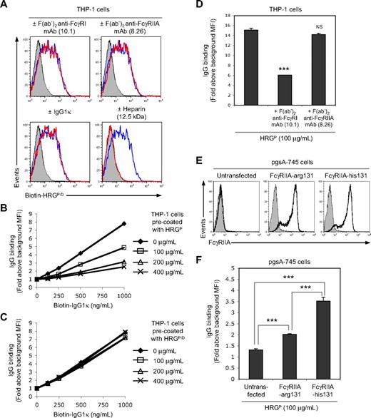 Figure 4. HRG does not directly interact with FcγR on THP-1 cells. (A) Effect of precoating THP-1 cells with a human FcγRI-specific blocking F(ab′)2 mAb (10.1, 40 μg/mL), a human FcγRIIA-specific blocking F(ab′)2 mAb (8.26, 40 μg/mL), or a human IgG1κ myeloma (200 μg/mL) on biotinylated HRGPID (100 μg/mL) binding to THP-1 cells. The effect of heparin (12.5 kDa, 50 μg/mL) on biotinylated HRGPID binding to THP-1 cells was also examined. Biotinylated HRGPID binding was detected by flow cytometry using PE-conjugated streptavidin. Representative flow cytometric histograms are shown, with filled histograms representing the PE-conjugated streptavidin only control and open blue and red histograms representing, respectively, biotinylated HRGPID binding in the absence or presence of the indicated treatments. Effect of precoating THP-1 cells with (B) HRGP or (C) HRGPID on the binding of biotinylated human IgG1κ myeloma to THP-1 cells. Biotinylated IgG binding was determined by flow cytometry using PE-conjugated streptavidin, with data being expressed as fold binding above background MFI. (D) Effect of precoating THP-1 cells with a human FcγRI-specific blocking F(ab′)2 mAb (10.1, 40 μg/mL) or a human FcγRIIA-specific blocking F(ab′)2 mAb (8.26, 40 μg/mL) on the binding of the copurified IgG in HRGP (100 μg/mL) to THP-1 cells. (E) Cell-surface expression of human FcγRIIA by the GAG-deficient CHO cell line (pgsA-745) stably transfected with human FcγRIIA containing either an arginine residue or a histidine residue at amino acid position 131 (FcγRIIA-arg131 and FcγRIIA-his131, respectively), with untransfected pgsA-745 cells being included as a negative control. Human FcγRIIA expression was detected by flow cytometry using a mouse F(ab′)2 anti–human FcγRIIA mAb (8.26) and a PE-conjugated sheep F(ab′)2 anti–mouse Ig Ab. Representative flow cytometric histograms are shown, with filled histograms representing a secondary Ab-only control and open black histograms representing cell-surface expression of human FcγRIIA. (F) Binding of the copurified IgG in HRGP (100 μg/mL) to pgsA-745 cells stably transfected with either human FcγRIIA-arg131 or FcγRIIA-his131, with untransfected pgsA-745 cells being included as a negative control. IgG binding in panels D and F was detected by flow cytometry. Data in panels D and F are expressed as fold binding above background MFI, with error bars representing SEM (n = 3). NS indicates not significant. ***P < .001.