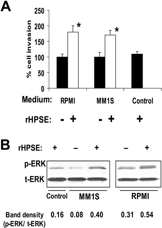 Figure 1. Heparanase promotes endothelial cell invasion and ERK phosphorylation. (A) Cells from myeloma cell lines RPMI 8226 or MM.1S were incubated for 24 hours with rHPSE and the conditioned medium collected. Endothelial cells were then placed in the upper chamber of Matrigel invasion chambers and conditioned medium from myeloma cells placed in the lower chamber. After overnight incubation, endothelial cells that invaded through the Matrigel were fixed, stained, and counted. The control was medium that was not conditioned by cells but with addition of rHPSE. Data are mean ± SD of 3 independent experiments. *P < .01 vs medium from cells not exposed to rHPSE. (B) Medium from myeloma cells was collected 24 hours after addition of rHPSE, added to endothelial cells in culture, and cells extracted and prepared for Western blotting for p-ERK and t-ERK. Bands were scanned and densities shown as ratios of p-ERK to t-ERK.