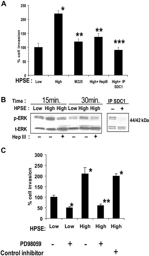 Figure 3. Shed syndecan-1 in conditioned medium of HPSE-high myeloma cells facilitates endothelial invasion and ERK phosphorylation. (A) Endothelial invasion is enhanced by shed syndecan-1. An equal number of endothelial cells were seeded on invasion chambers coated with Matrigel and cells allowed to migrate in the presence of medium conditioned by HPSE-low or HPSE-high CAG cells, or medium from HPSE-high cells pretreated with Hep III or IP SDC1 or with medium from cells expressing high levels of an enzymatically inactive form of heparanase (M225). After overnight incubation, cells that invaded through the Matrigel were fixed, stained, and counted. Data are mean ± SD of 3 independent experiments. *P < .01 vs HPSE-low. **P < .05 vs HPSE-high. ***P < .01 vs HPSE-high. (B left panel) Pretreatment of medium with Hep III diminishes ERK activation. Serum-deprived endothelial cells were treated with conditioned medium from HPSE-low or HPSE-high myeloma cells with or without pretreatment with Hep III. At the designated time points, cells were washed and total cell lysates were subjected to immunoblotting with antibodies against p-ERK or t-ERK. (Right panel) ERK signaling is lost after depletion of syndecan-1 from conditioned medium. Medium conditioned by HPSE-high cells was subjected to immunodepletion with control antibody or antibody to syndecan-1. Serum-deprived endothelial cells were treated with this medium for 15 minutes, lysed, and subjected to immunoblotting with antibodies against p-ERK or t-ERK. (C) ERK activation stimulates invasion of endothelial cells. Equal number of endothelial cells along with dimethyl sulfoxide as control, ERK inhibitor PD98059 (50μM), or ERK inhibitor II negative control (50μM) were loaded into the upper compartment of the Matrigel invasion chamber and medium from HPSE-low or HPSE-high cells added to the lower compartment. After overnight incubation, cells that invaded through the Matrigel were fixed, stained, and counted. Data represent mean ± SD of 3 independent experiments. *P < .01 vs HPSE-low without addition of PD98059. **P < .01 vs HPSE-high without addition of PD98059.