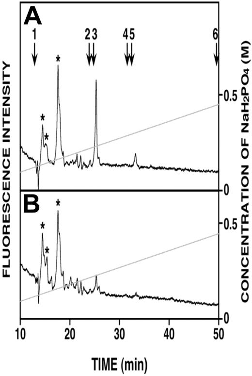 Figure 4. Very low levels of heparan sulfate fragments are present in medium from HPSE-high cells. (A) Anion-exchange high-performance liquid chromatography of heparan sulfate fragments eluting at 25 minutes (monosulfated oligosaccharides) and 33 minutes (disulfated oligosaccharides) were detected in the medium conditioned by HPSE-high cells. (B) Heparan sulfate fragments were not detected in medium conditioned by HPSE-low cells. Elution positions of the 2AB-derivatives of standard unsaturated heparan sulfate disaccharides are indicated by the numbered arrows in panel A: 1, ΔHexA-GlcNAc; 2, ΔHexA-GlcNAc(6-O-sulfate); 3, ΔHexA-GlcN(N-sulfate); 4, ΔHexA-GlcN(N, 6-O-disulfate); 5, ΔHexA(2-O-sulfate)-GlcN(N-sulfate); 6, ΔHexA(2-O-sulfate)-GlcN(N, 6-O-disulfate). *Peaks representing unknown substances derived from the sample preparation.