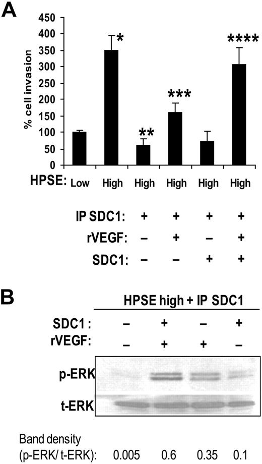 Figure 5. Shed syndecan-1 and VEGF act together to stimulate ERK activation and endothelial invasion. (A) Syndecan-1 enhances VEGF-mediated invasion of endothelial cells. An endothelial invasion assay was performed with conditioned medium from HPSE-high cells that was IP SDC1 and to which was added recombinant VEGF (400 pg/mL), syndecan-1 (500 ng/mL), or both. The amounts of VEGF and syndecan-1 used were equal to those amounts removed by immunoprecipitation of syndecan-1. Data are mean ± SD from 3 independent experiments. *P < .001 vs HPSE-low. **P < .001 vs HPSE-high. ***P < .01 vs IP SCD1 with no exogenous VEGF or syndecan-1. ****P < .05 vs exogenous VEGF alone. (B) Syndecan-1 and VEGF in combination maximally stimulate ERK signaling. Endothelial cells were serum starved overnight and then stimulated with syndecan-1 depleted conditioned medium from HPSE-high cells with or without addition of recombinant VEGF (400 pg/mL), purified syndecan-1 (500 ng/mL), or both. Aliquots of cell extracts that contained equivalent amounts of total protein were resolved by sodium dodecyl sulfate–polyacrylamide gel electrophoresis and then immunoblotted using antibody specific for p-ERK or t-ERK. Bands were scanned and densities are shown as ratios of p-ERK to t-ERK.