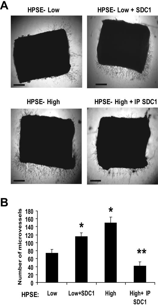 Figure 8. Shed syndecan-1 in conditioned medium from HPSE-high cells promotes angiogenesis in an aortic organ culture. (A) Segments of rat aorta were placed within Matrigel and cultured in the presence of medium conditioned by either HPSE-low or HPSE-high CAG cells, with medium from HPSE-low cells with addition of exogenous syndecan-1 (500 ng/mL) or with medium from HPSE-high cells that was immunodepleted of syndecan-1 (exogenous VEGF was added to all wells). Note that more microvessels grow out from the explants treated with conditioned media from HPSE-high cells versus HPSE-low cells. Addition of exogenous syndecan-1 to HPSE-low condition medium enhanced microvessel density, and immunodepletion of syndecan-1 from the conditioned medium of HPSE- high cells reduced the microvessel formation. Bar represents 0.2 mm. (B) Quantitative analysis of endothelial sprouting was performed using images from day 6, and sprout number was quantified using NIH ImageJ software. Data shown are from 2 separate experiments, each of which contained duplicate wells for each condition. *P < .01 vs HPSE-low. **P < .01 vs HPSE-high.