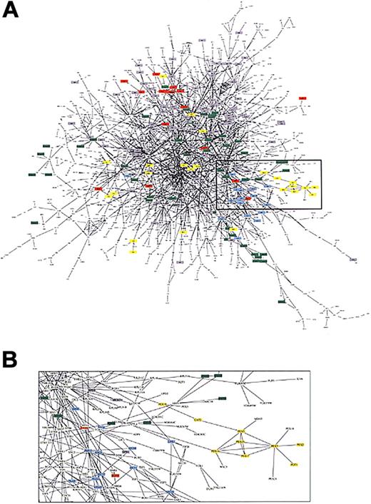 Figure 1. Graph of protein-protein interaction. (A) The network of the 1548 proteins of the yeast proteome and their interactions.15 Proteins with different functions are represented by different colors and include lipid metabolism (yellow), cell structure (green), membrane fusion(blue), chromatin structure(gray), and cytokinesis (red). (B) Because of node and edge density, a subset of the network is magnified to reveal the complexity of components and interactions. (Figure from Uetz et al15 reprinted with permission from Nature.)